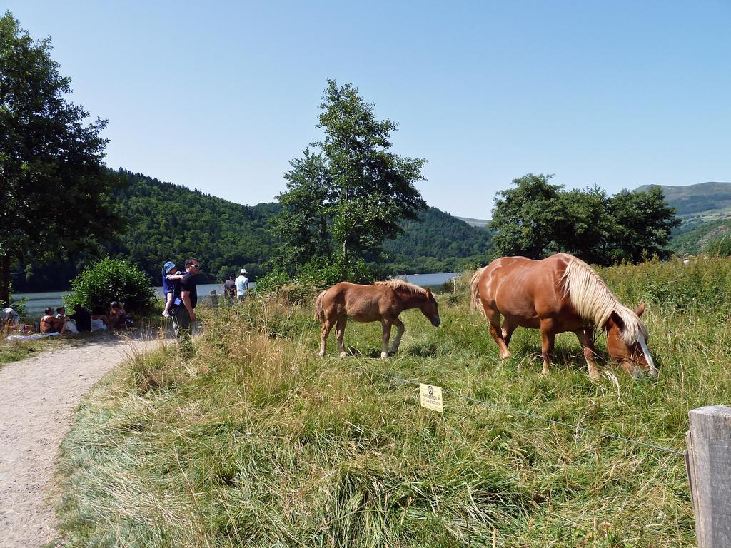 Les Chenets Villa Chambon-sur-Lac Bagian luar foto