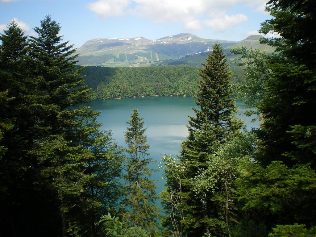 Les Chenets Villa Chambon-sur-Lac Bagian luar foto